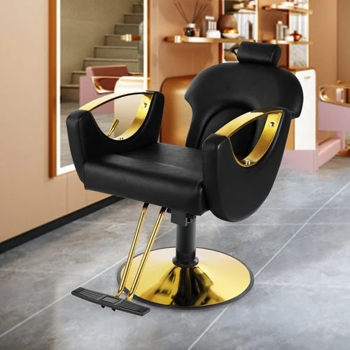 Salon Chairs 